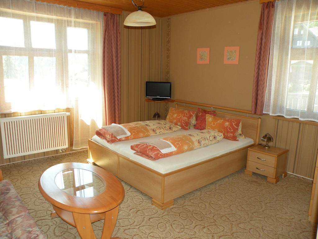 Hotel Lesni Dum Janske Lazne Δωμάτιο φωτογραφία