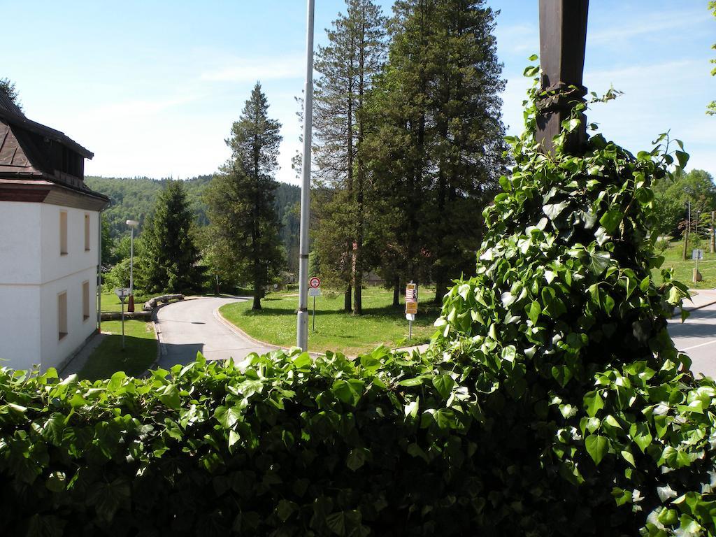 Hotel Lesni Dum Janske Lazne Δωμάτιο φωτογραφία